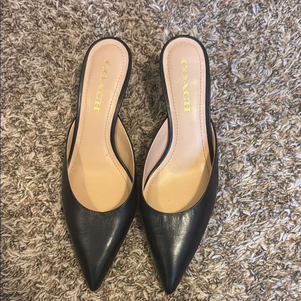 Coach Women's Black Leather Mules